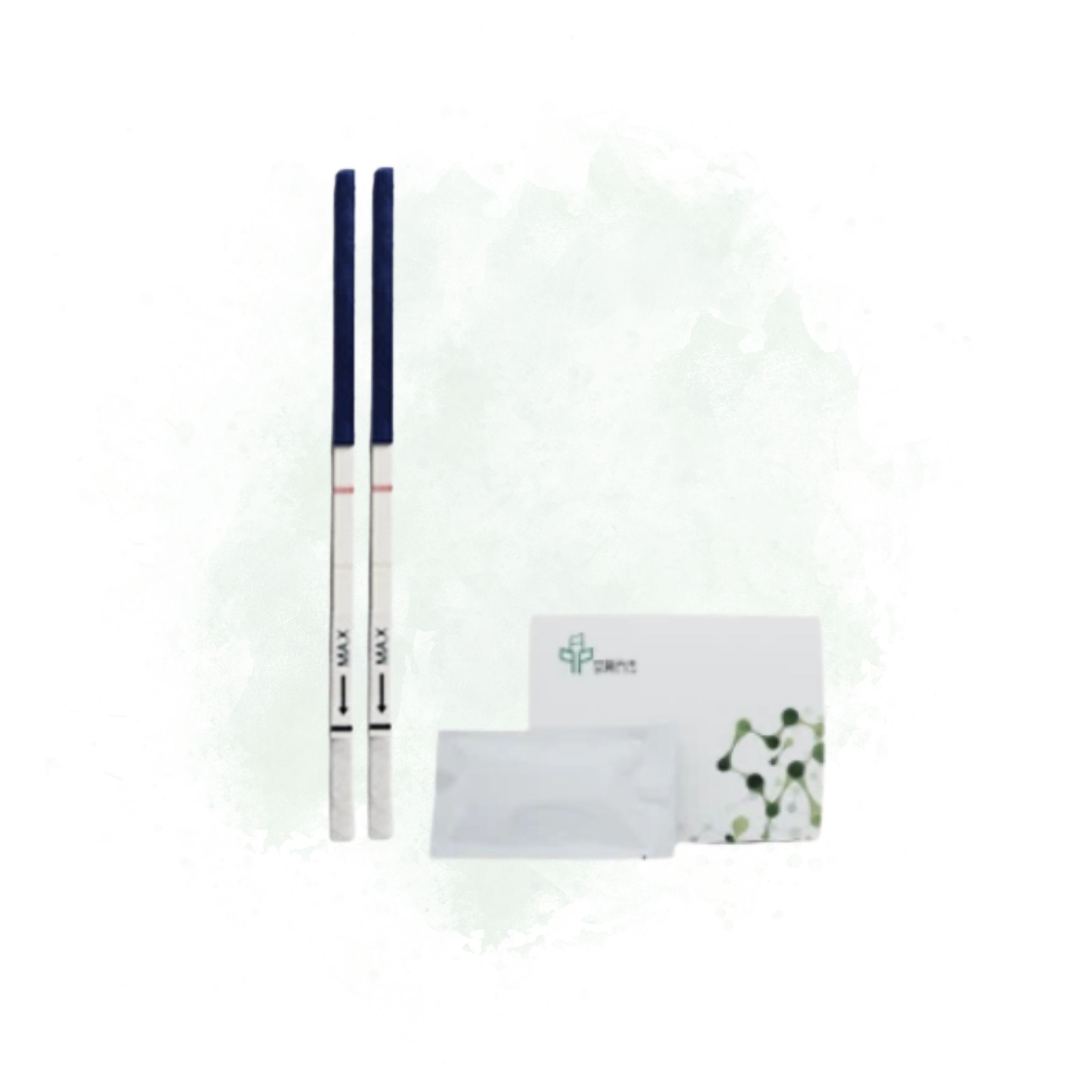 005 Nucleic Acid Test Strip