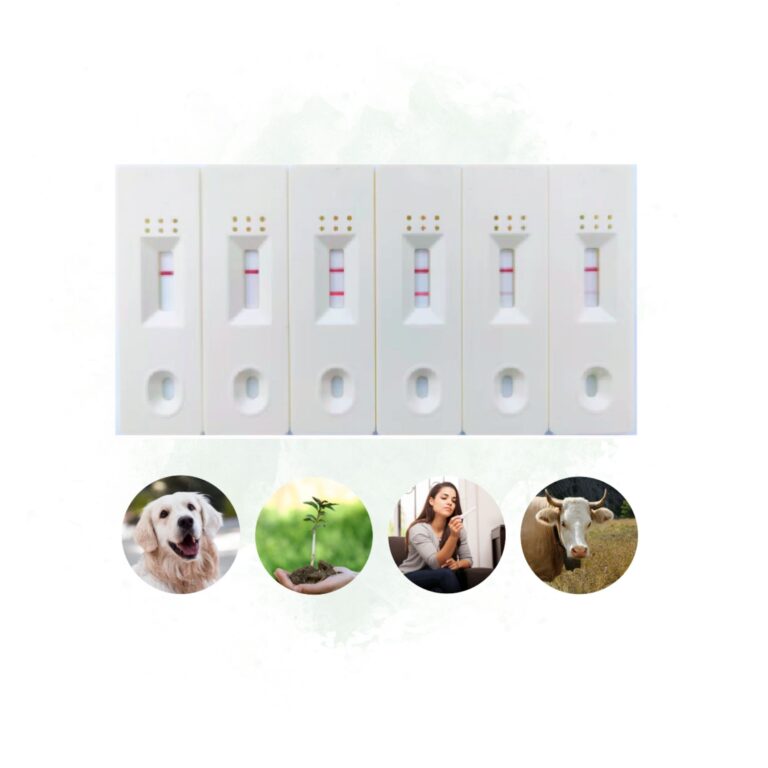 006 Nucleic Acid Test Strip with Cassette