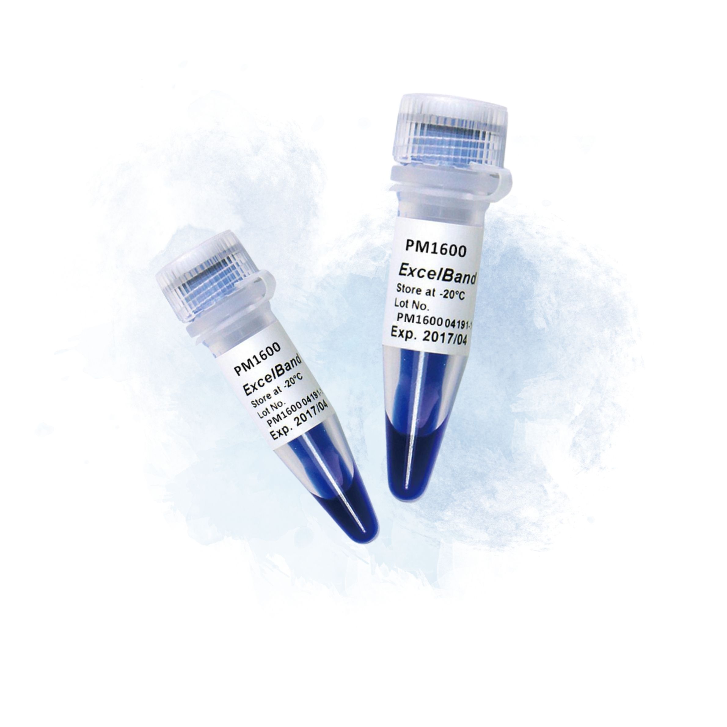 009 All Blue Protein Markers