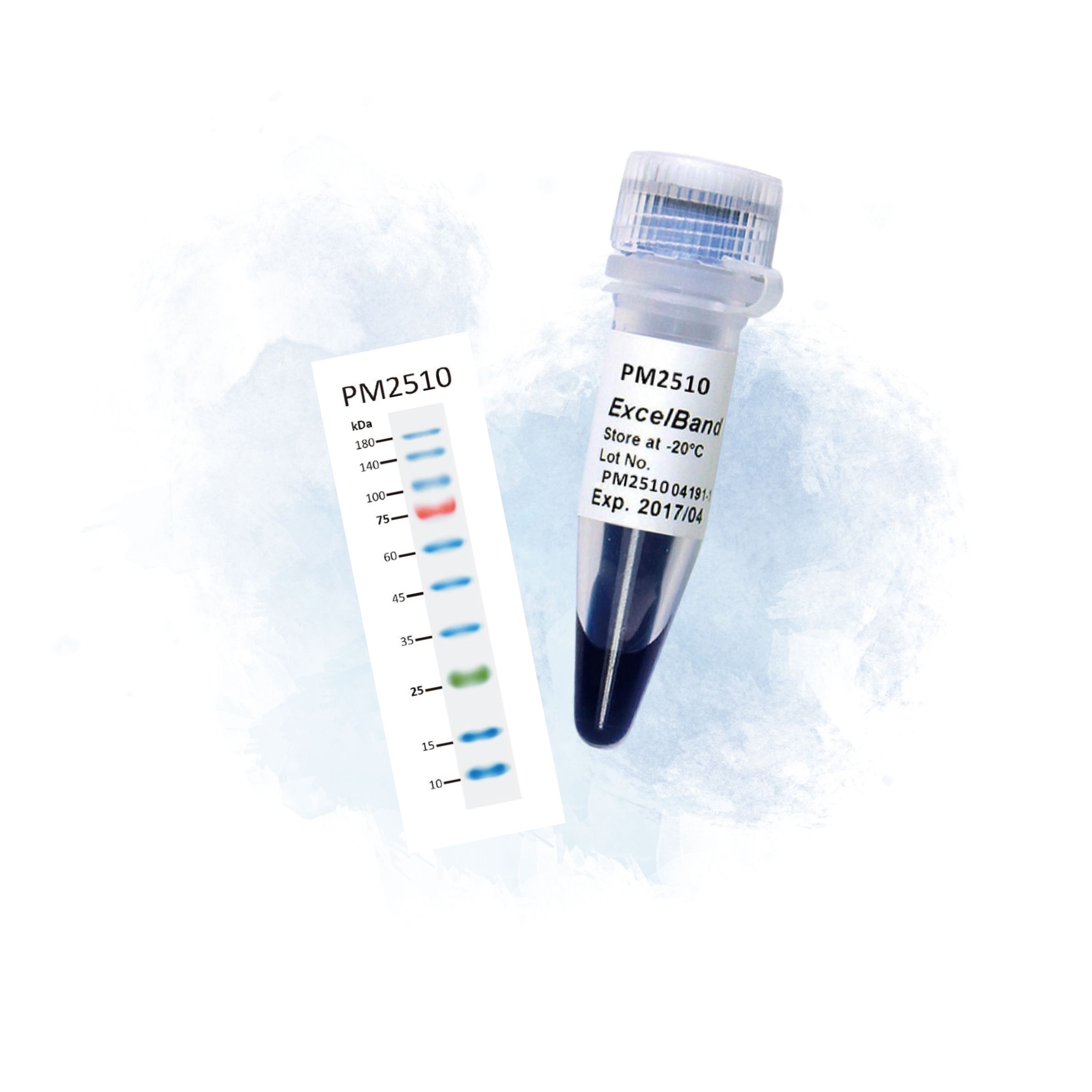 010 ExcelBand™ 3-Color Protein Marker Series