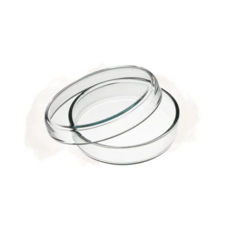 035 Petri dish glass