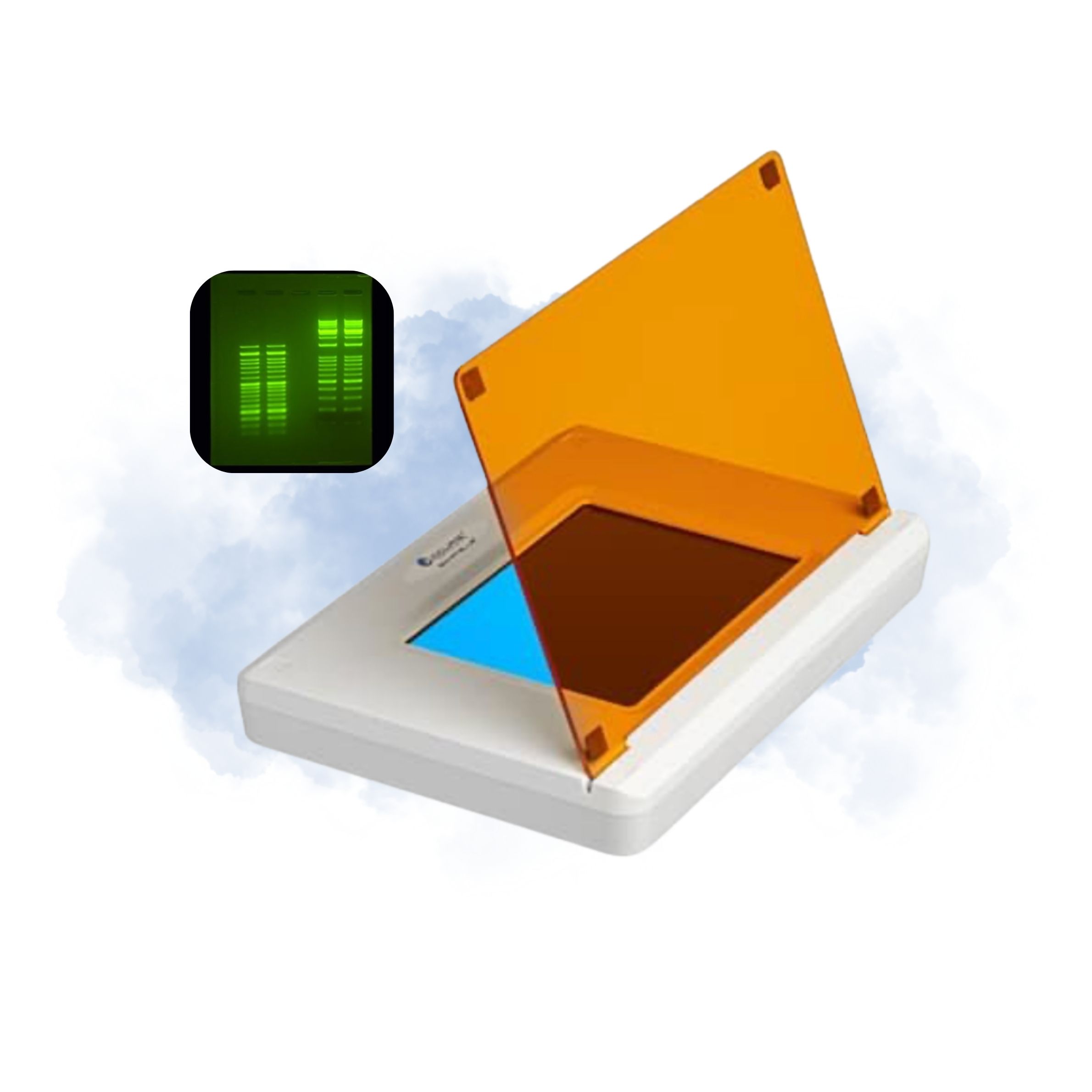 048 Transilluminator