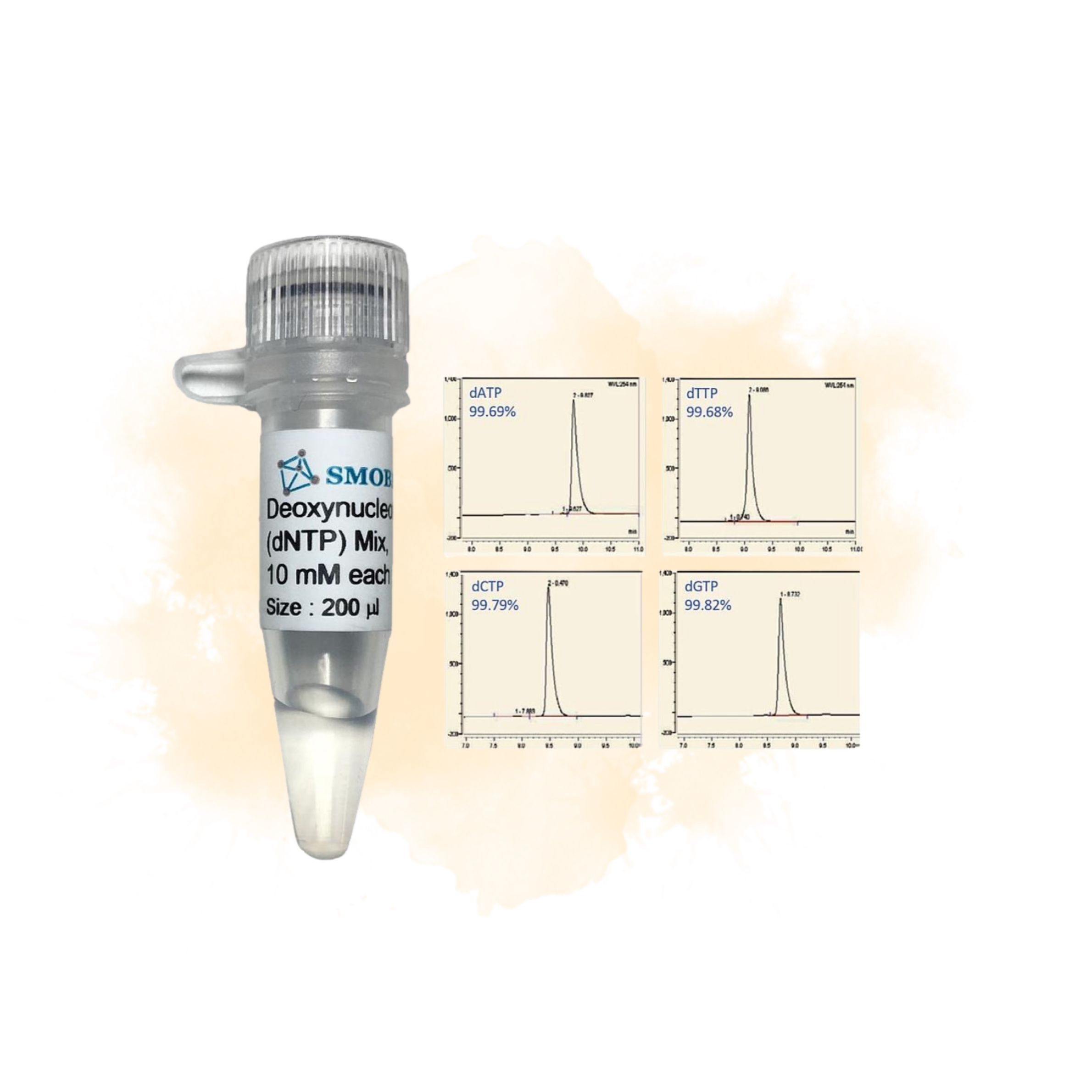 Dntps Mix Rabbit SMOChem™ Deoxynucleotide (dNTP) Mix, 10 mM – QualixLab