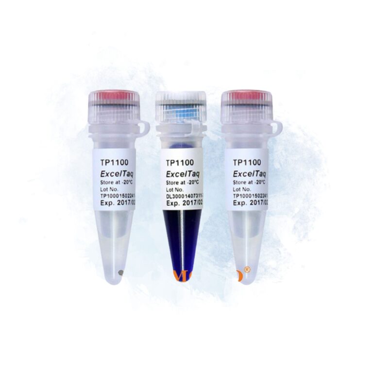 084 Taq DNA Polymerase