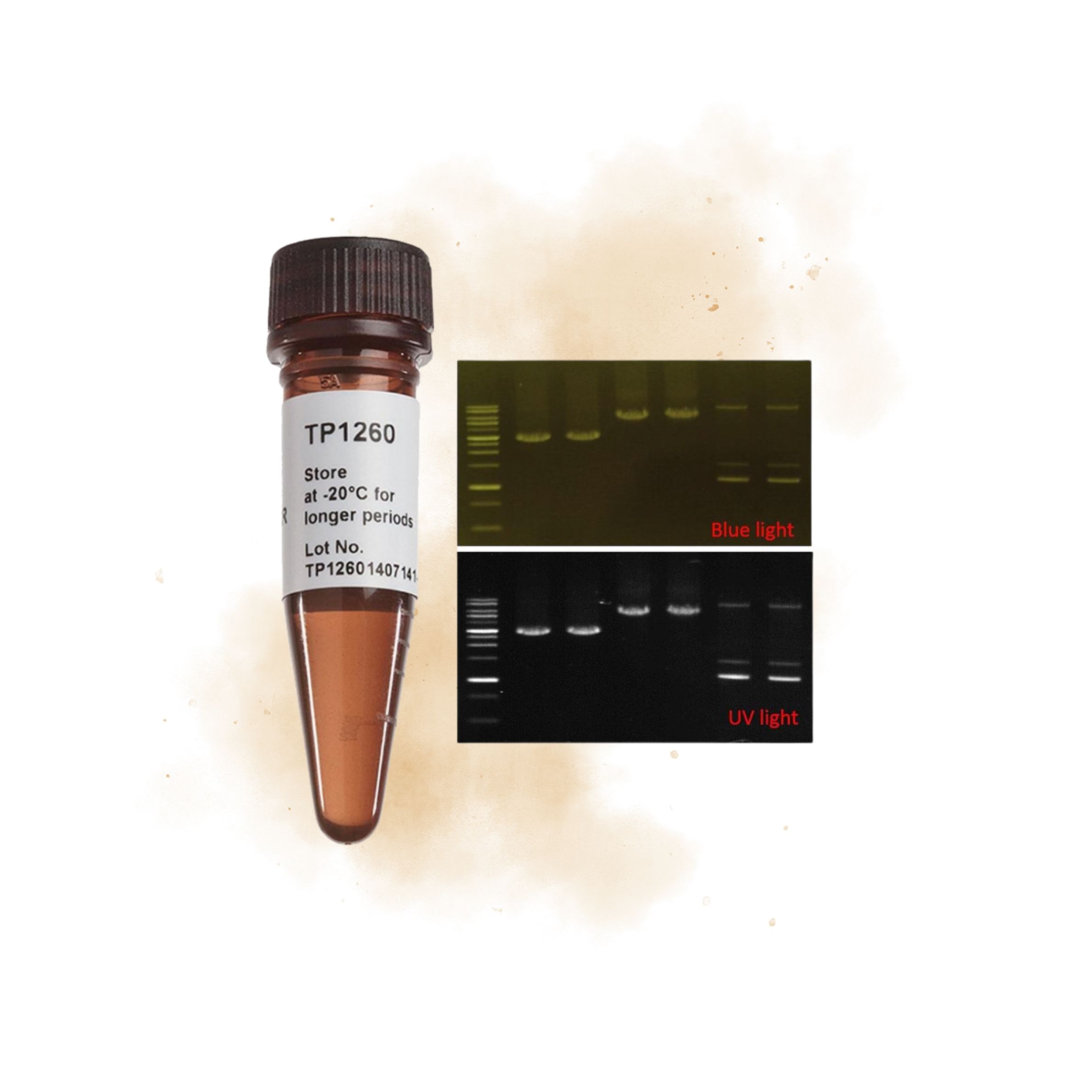 085 5X Fluorescent PCR Master Mix