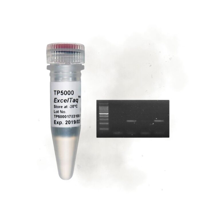 086 Hot Start II DNA Polymerase