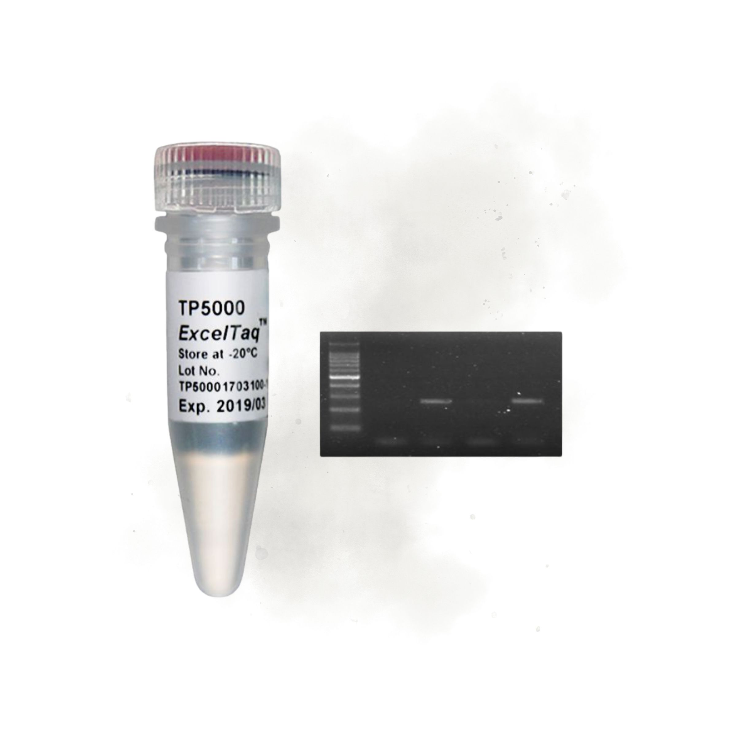 086 Hot Start II DNA Polymerase